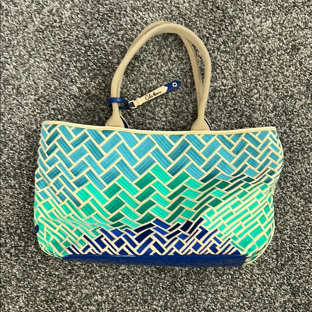 Cole Haan Vibrant Blue and Green Chevron Tote
